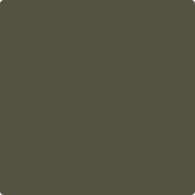 2141-10: Artichoke a paint color by Benjamin Moore avaiable at Clement's Paint in Austin, TX.