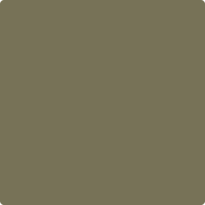 2142-30: Mountain Moss a paint color by Benjamin Moore avaiable at Clement's Paint in Austin, TX.