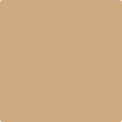2161-40: Acorn Yellow a paint color by Benjamin Moore avaiable at Clement's Paint in Austin, TX.