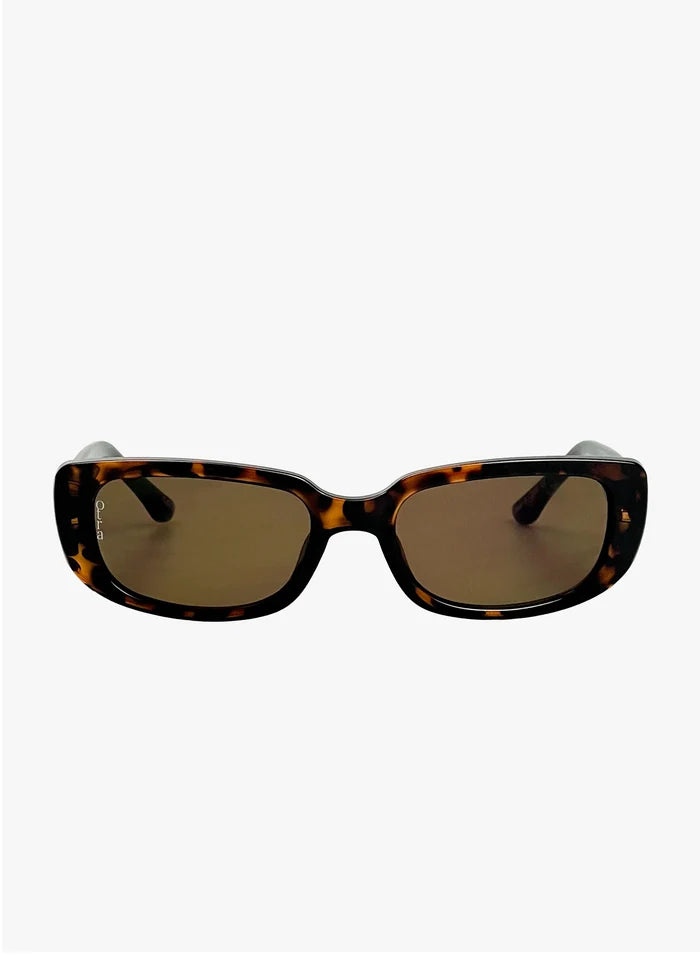 Backstreet Tortoiseshell
