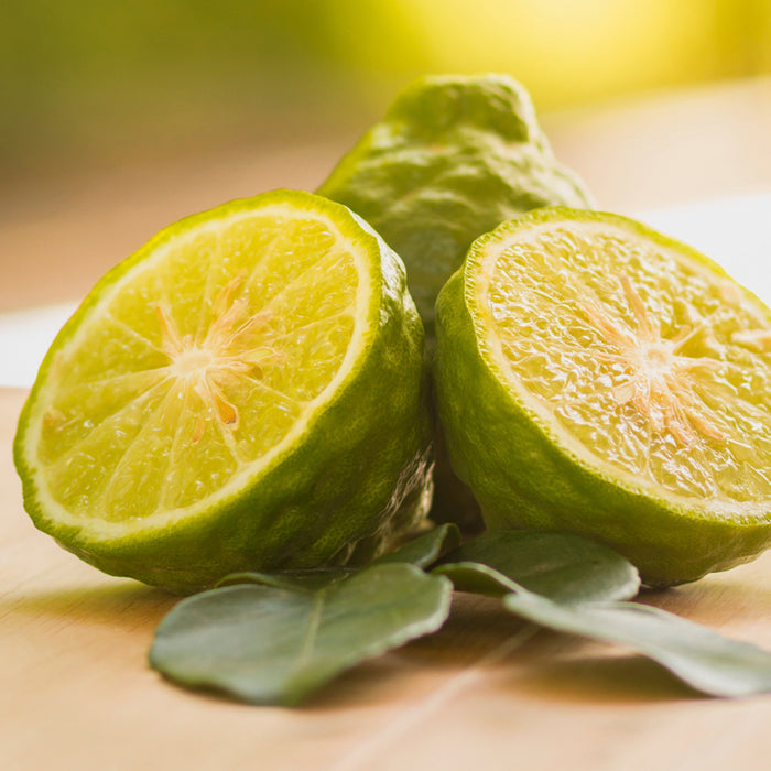 Bergamot Amber Fragrance Oil 903