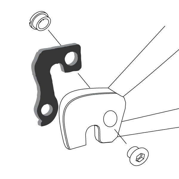 Hanger #50 attaches to the frame's rear dropout from the inside or hub side using one M8 chainring bolt.