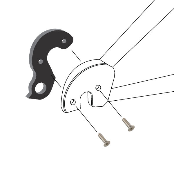 Hanger #69 attaches to the frame's rear dropout from the inside or hub side using two M4x10 screws