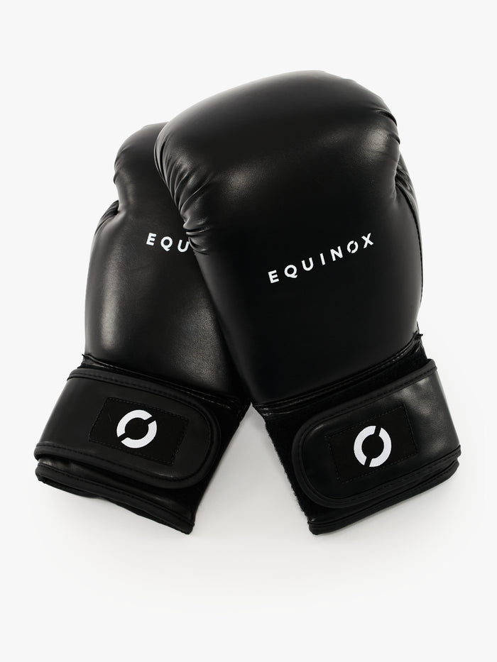 Equinox Boxing Gloves
