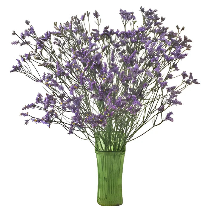 Lavender Airbrushed Limonium Flowers