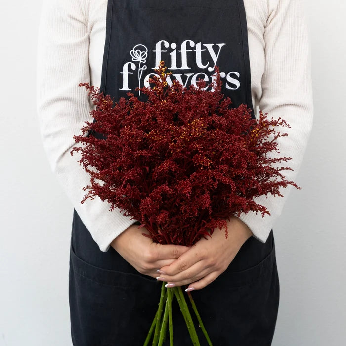 Tinted Red Estelle Solidago Filler Flowers Apron - Image