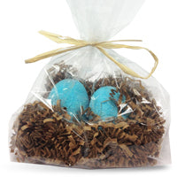 Robin Egg in Nest Bath Fizzie Kit
