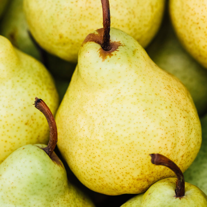 Sweet Juicy Pear Fragrance Oil 231