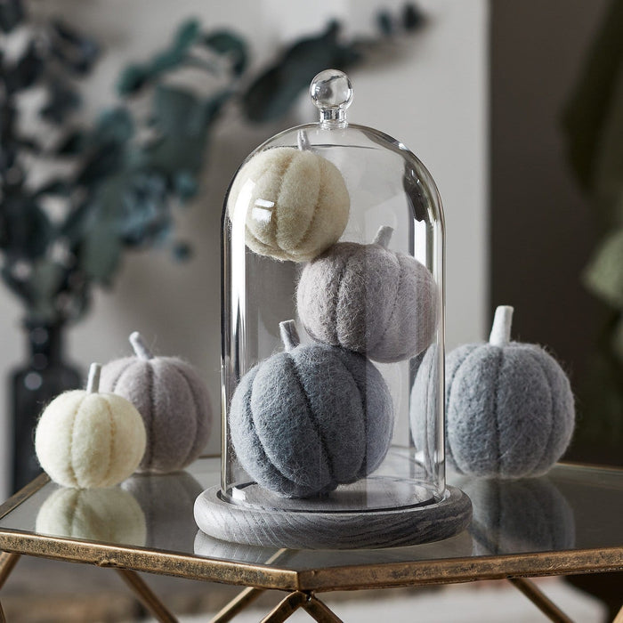 20.5cm Glass Dome Bell Jar With Grey Base
