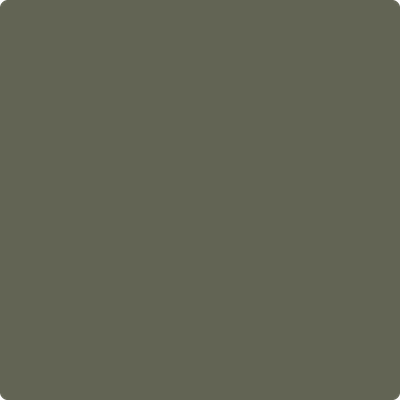 2140-30: Dark Olive  a paint color by Benjamin Moore avaiable at Clement's Paint in Austin, TX.