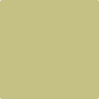 2147-40: Dill Pickle  a paint color by Benjamin Moore avaiable at Clement's Paint in Austin, TX.