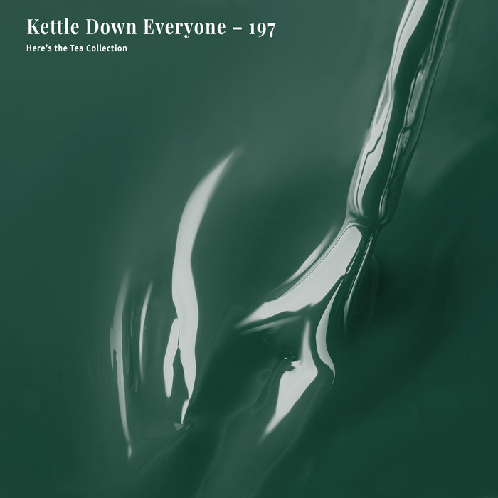 4-in-1 Kettle Down Everyone - 197
