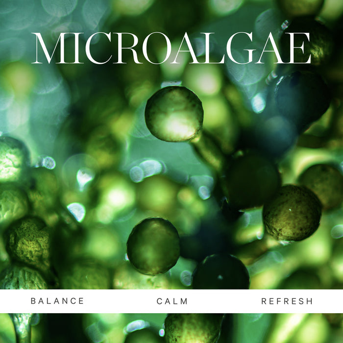 Kora Organics-Active Algae Calming Cleansing Balm-Skincare-5_PDP-Ingredient-ActiveAlgae_V1_a5e353fd-11c3-4123-8225-9414ed2a17e0-The Detox Market |