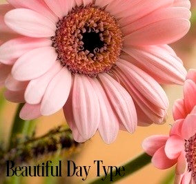 Beautiful Days Fragrance Oil 19813