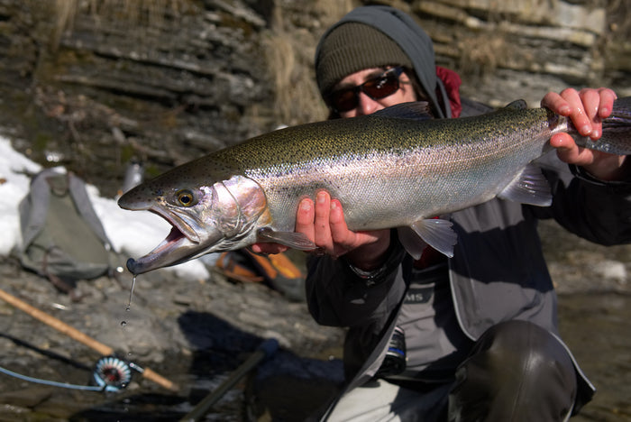 An angler kneeling down and holding up a fish.