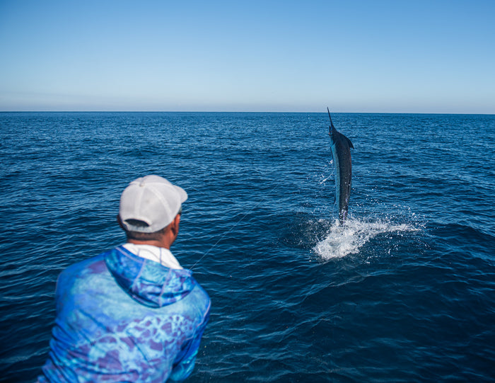 Person watching a marlin fish leap out of the water in the ocean.