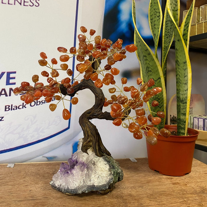 Carnelian Large Tree