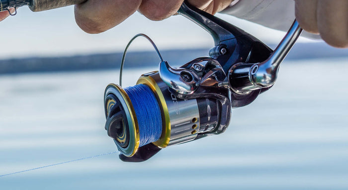 Cortland Master Braid - Blue