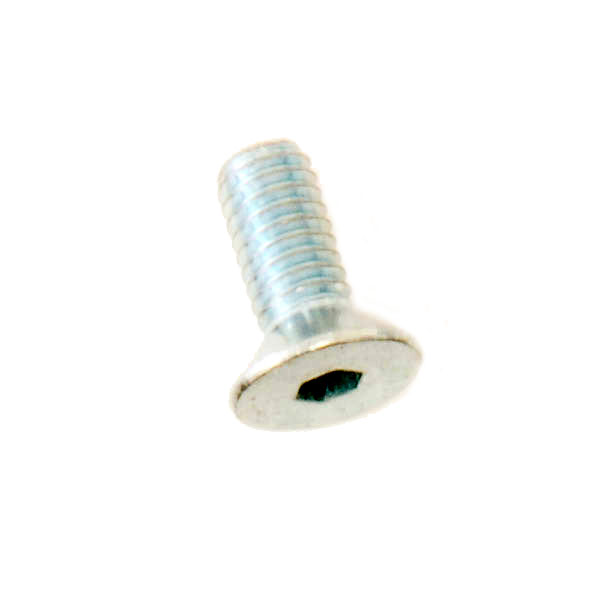 (1) M4x10 Flat Head Screw