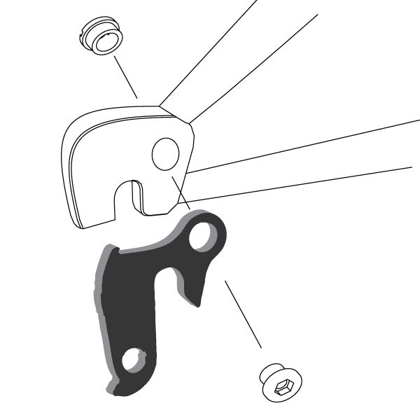 Hanger #43 attaches to the rear dropout from the outside or derailleur side using one M8 chainring bolt.