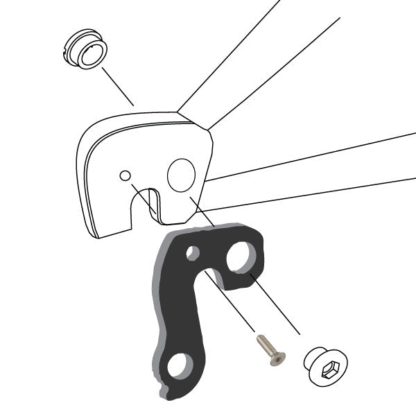 Hanger #48 attaches to the frame's rear dropout from the outside or derailleur side using one chainring bolt and one M4x8 screw.