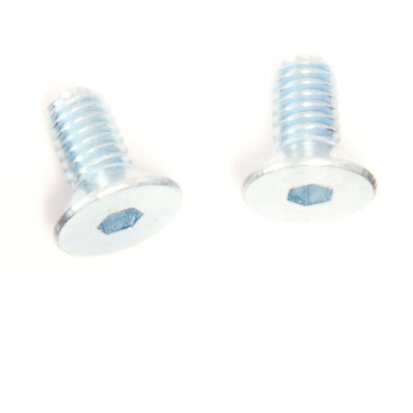 (2) M4x8 Flat Head Screws
