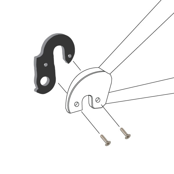 Hanger #53 attaches to the frame's rear dropout from the inside or hub side using two M4x8 screws