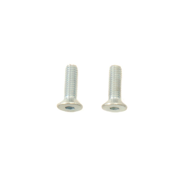 (2) M3x10 Flat Head Screws