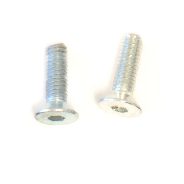 (2) M3x10 Flat Head Screws