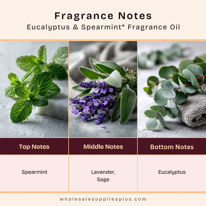 Eucalyptus & Spearmint* Fragrance Oil 101