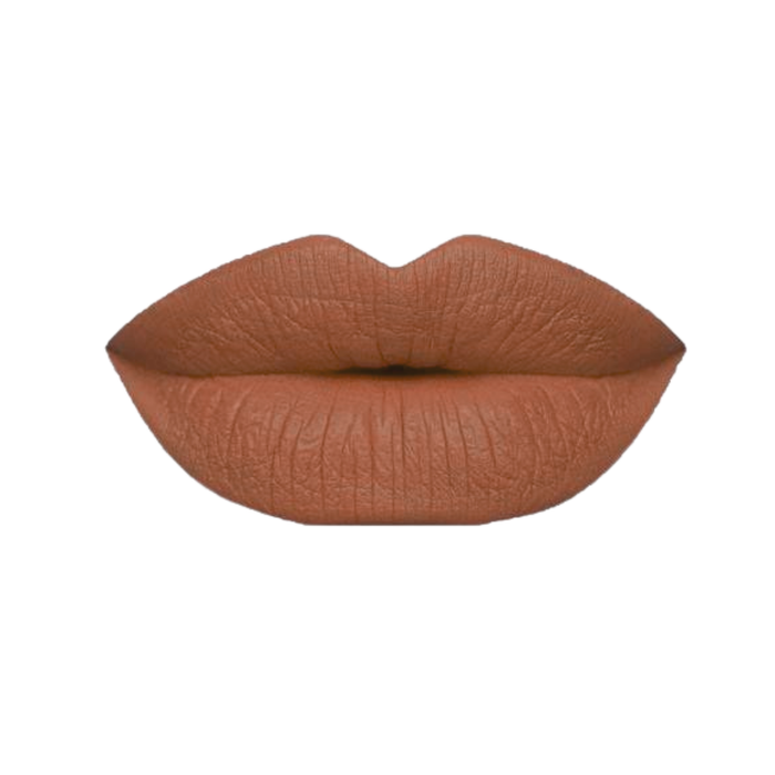 "Famous" Matte Liquid Lipstick