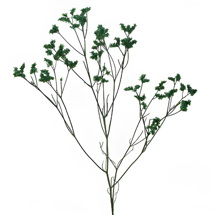 Forest Green Airbrushed Limonium Flowers