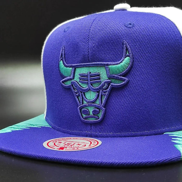 Gorra Snapback AIR JORDAN DAY 5 de Mitchell & Ness exclusiva de los Chicago Bulls - Púrpura/Verde azulado