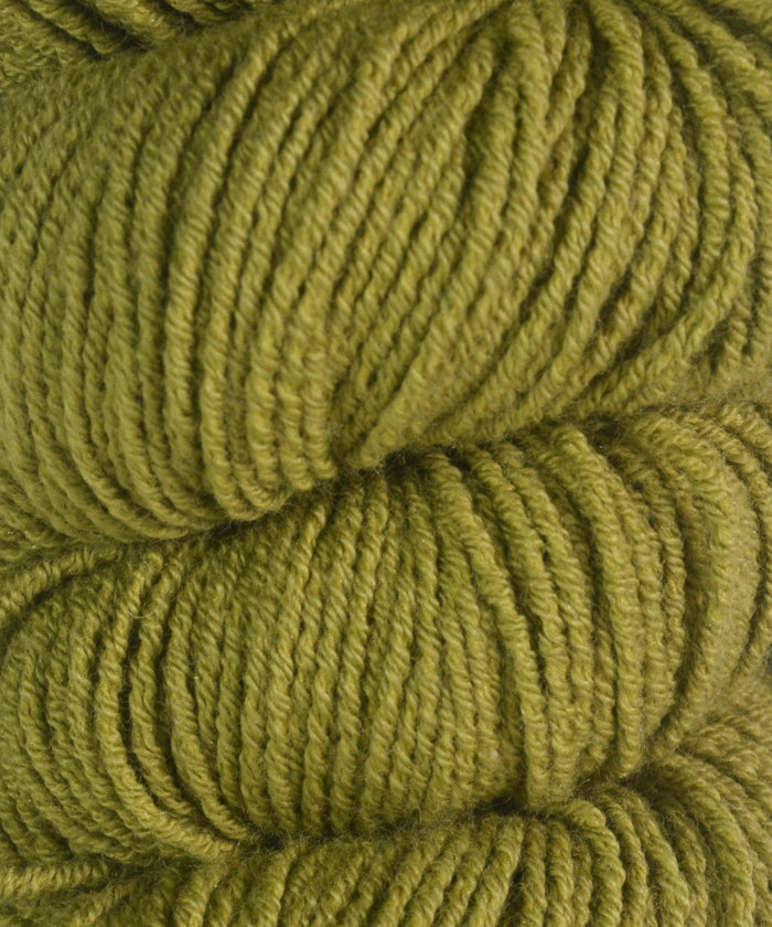 008 Natural Olive