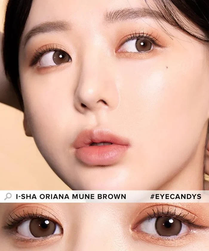 i-Sha Best Of Dailies Set (3 Boxes) - EyeCandys