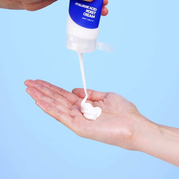 Isntree Hyaluronic Acid Moist Cream 100ml