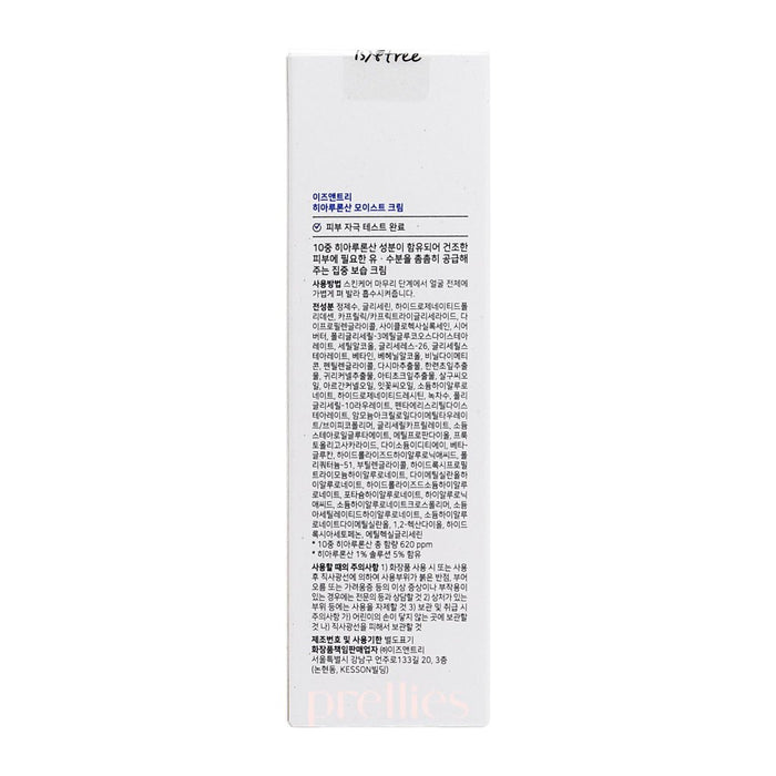 Isntree Hyaluronic Acid Moist Cream 100ml