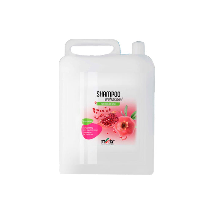 Itely Shampoo Professional Pomegranate 169oz Professional Salon Products
