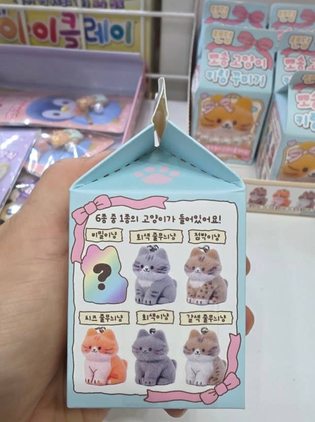 K-Wonderland: Fluffy Cat DIY Keychain Kit – Surprise Blind Box Charm