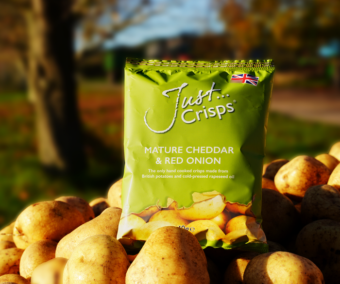 Mature Cheddar and Red Onion Crisps 40g (Case of 24)