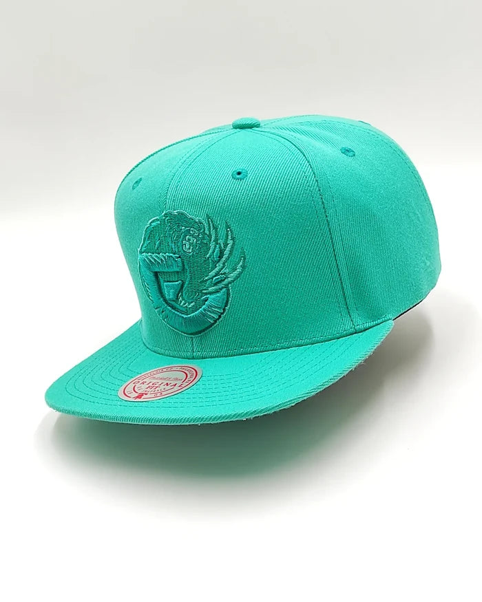 Mitchell & Ness Memphies Grizzlies Monochrome Original Fit Snapback teal