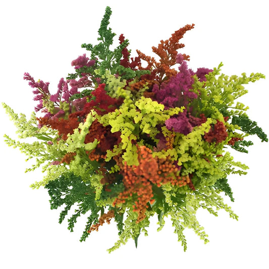 Mix of Tinted Estelle Solidago Filler Flowers