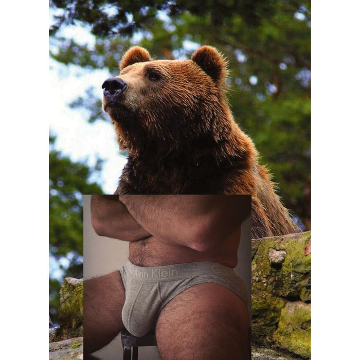 Queer art collage postcard by Naro Pinosa showing a grizzly bear in a forest setting juxtaposed with a hairy male torso in grey Calvin Klein briefs.