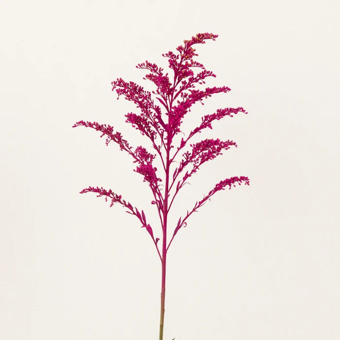 Pink Tinted Estelle Solidago Filler Flowers Stem - Image