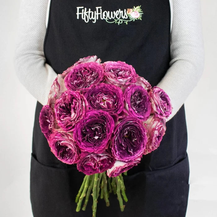 Brujas Purple Wholesale Garden Rose Bunch In a Hand