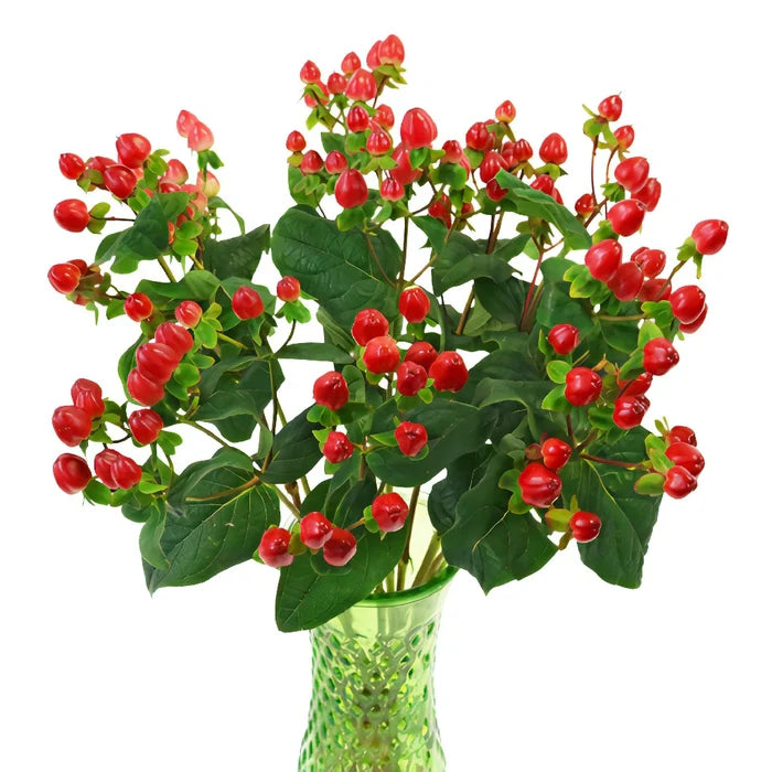 Red Designer Hypericum Berries
