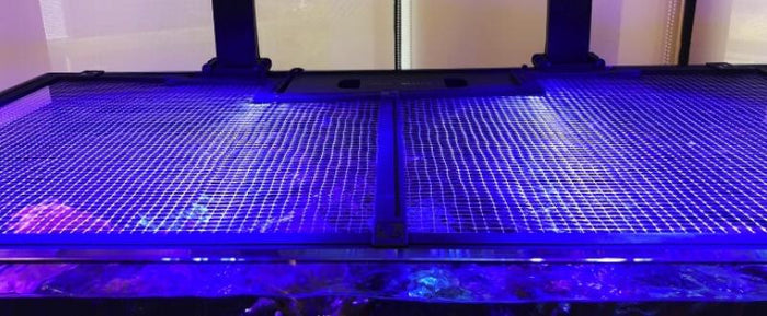 Red Sea Aquariennetzabdeckung