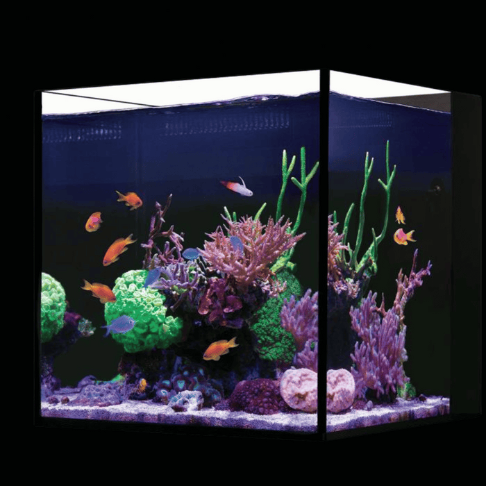 Red Sea Desktop Aquarium