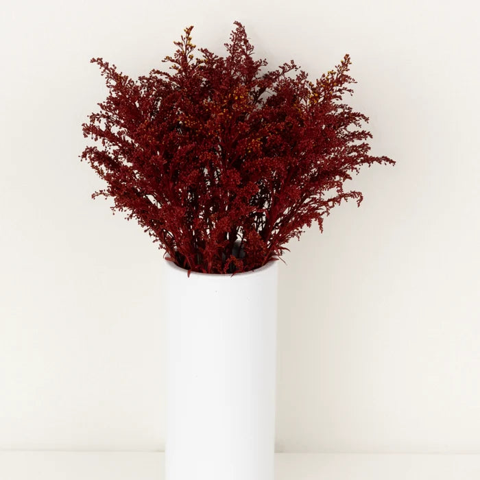 Tinted Red Estelle Solidago Filler Flowers Vase - Image