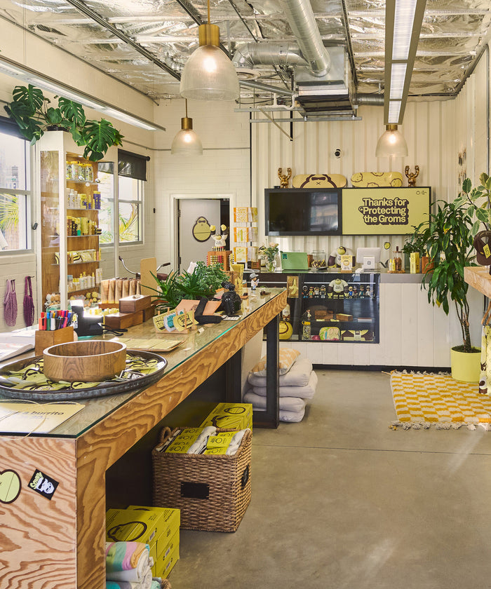 Interior of a store with a counter, shelves, and decorative elements.